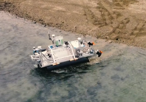 Argocat entering the water